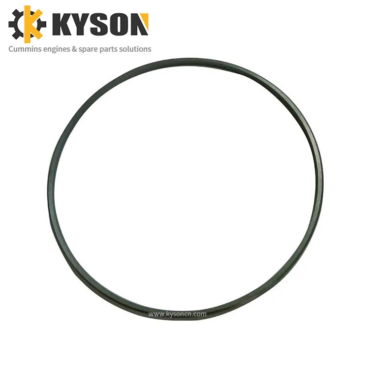 Cummins Spare Parts Cummins Liner Ring Kits 3081489 Rau Cummins K Cav